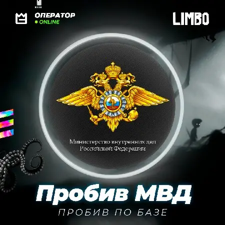 ⭐️ Пробив по базе МВД