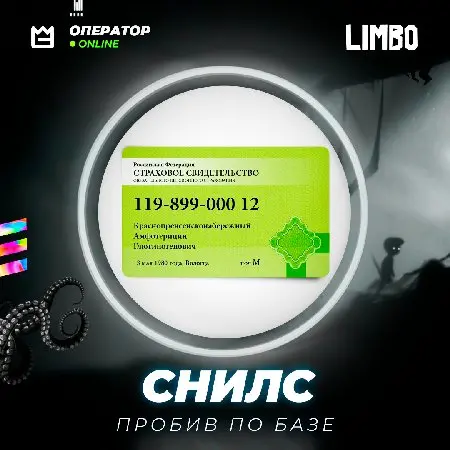👤 Пробив по СНИЛС