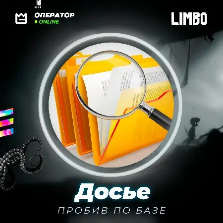 👤 Экспресс пробив по базе Досье