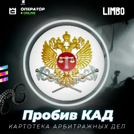🔨 Пробив по базе КАД ⚡️ [Картотека Арбитражных Дел] 
