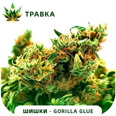Gorilla Glue  [ТРАВКА]