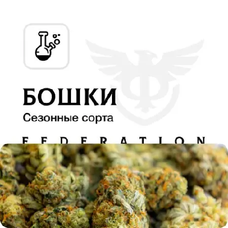 Бошки сезонные сортовые