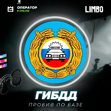 ⭐️ Пробив по базе ГИБДД ⚡️ [ГАИ]