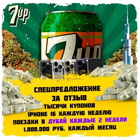 🌿Шишки West Coast OG™💚