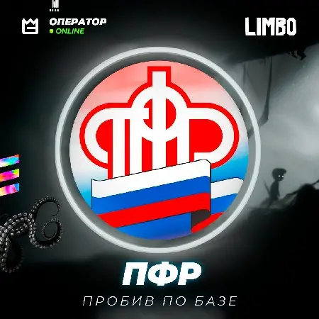 🔍 Пробив по базе ПФР ⚡️ [Место работы]