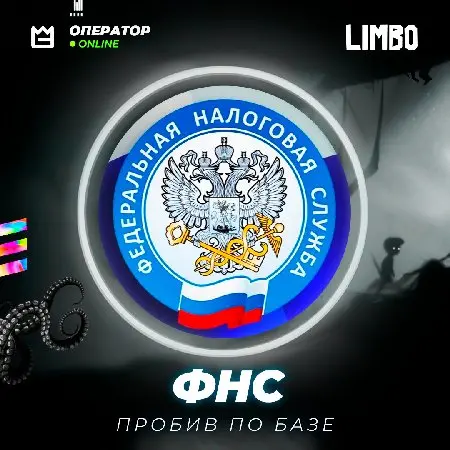 👤 Пробив по базе ФНС ⚡️ [Федеральная налоговая служба]