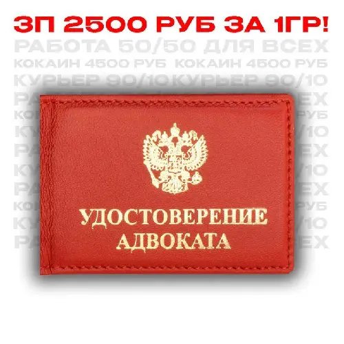 Удостоверение правозащитника