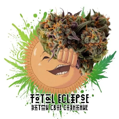 Бошки "Total Eclipse" 