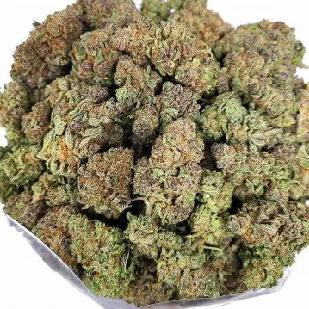 GELATO