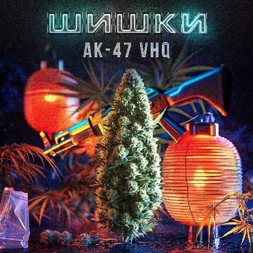 ШИШКИ АК 47 | Платим 1600₽/клад